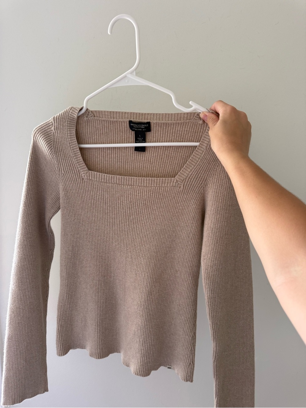 Vintage Square-Neck American Eagle Longsleeve - Taupe